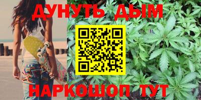 спиды Новозыбков