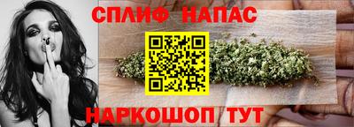 спиды Новозыбков