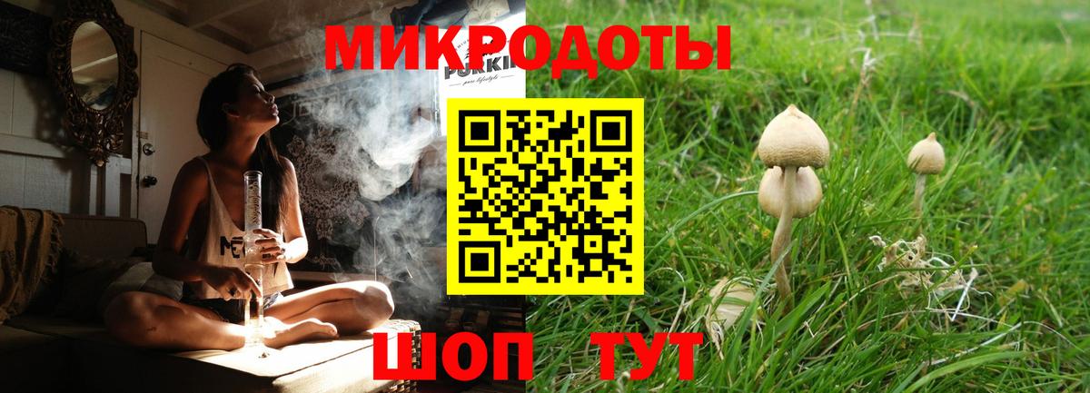 Галлюциногенные грибы Cubensis  Вход с VPN  Ростов-на-Дону  где продают   Галлюциногенные грибы GOLDEN TEACHER 